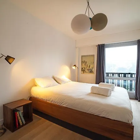 Appartement Du Brevent Chamonix