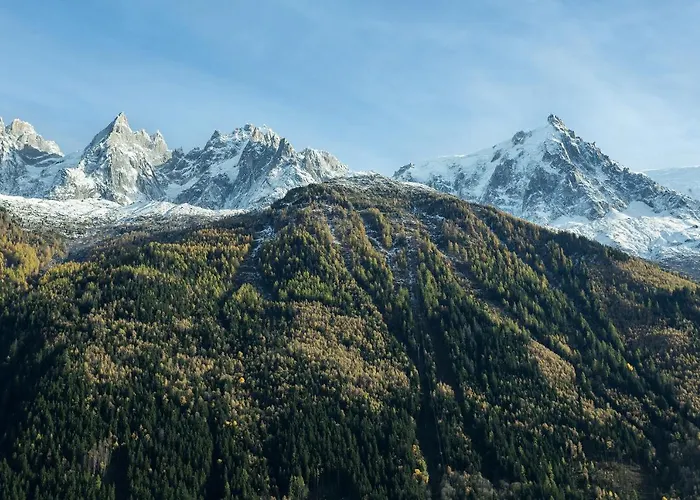 Du Brevent Апартаменти *