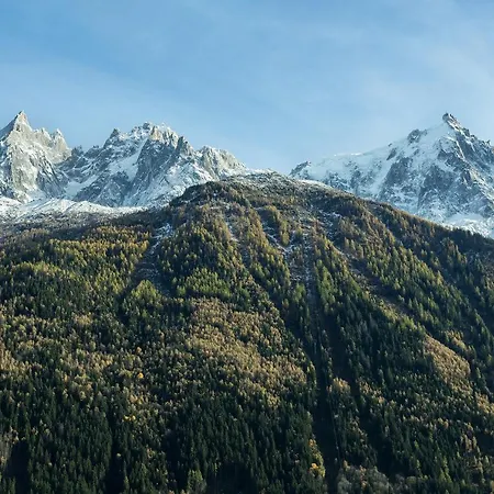 Du Brevent 아파트 *